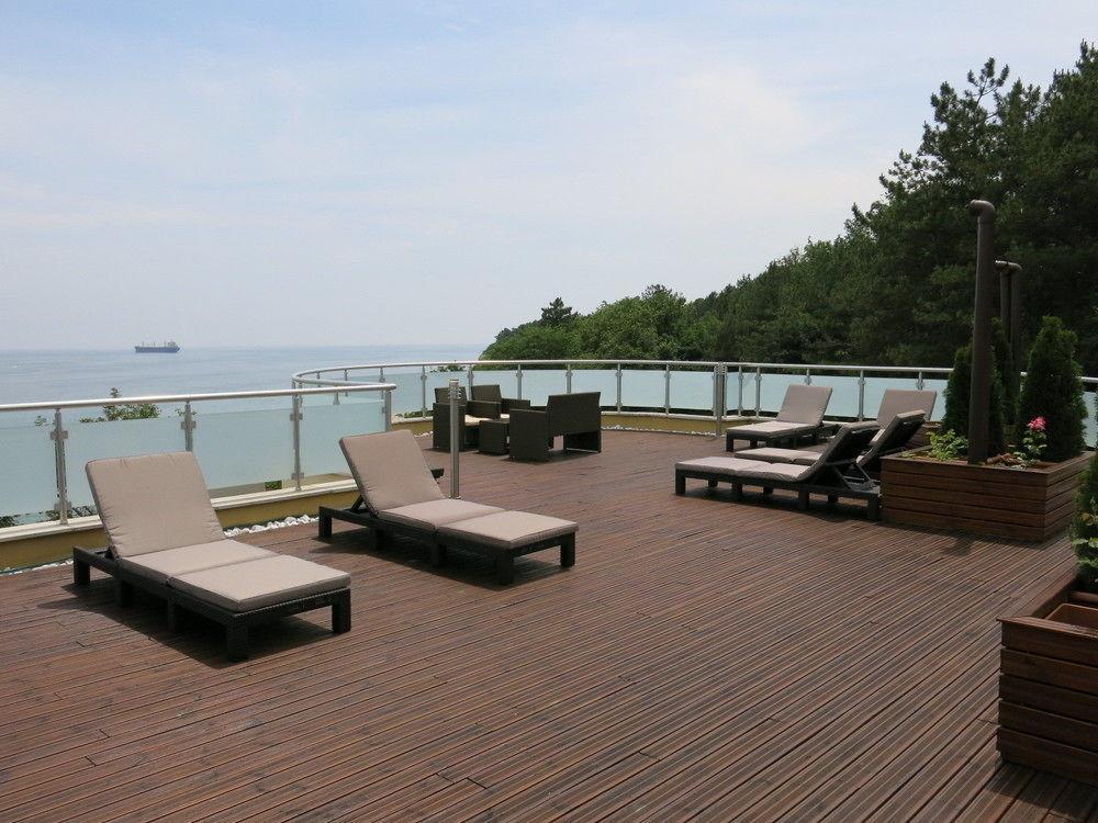 Albizia 3* Warna