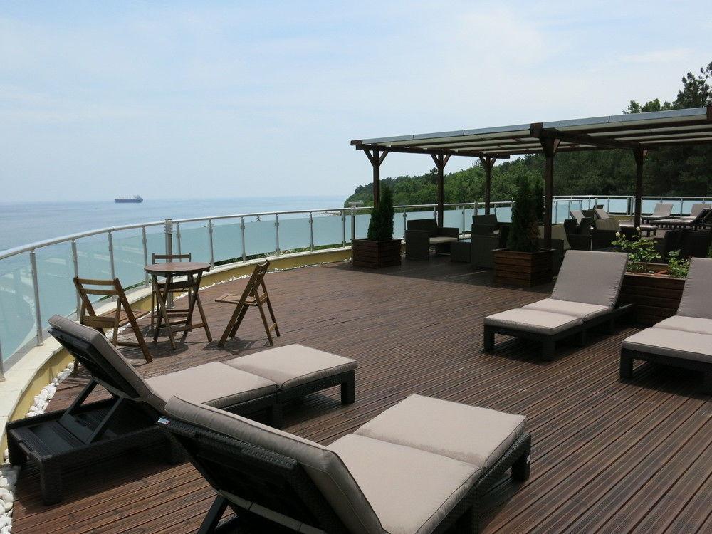 Albizia 3*