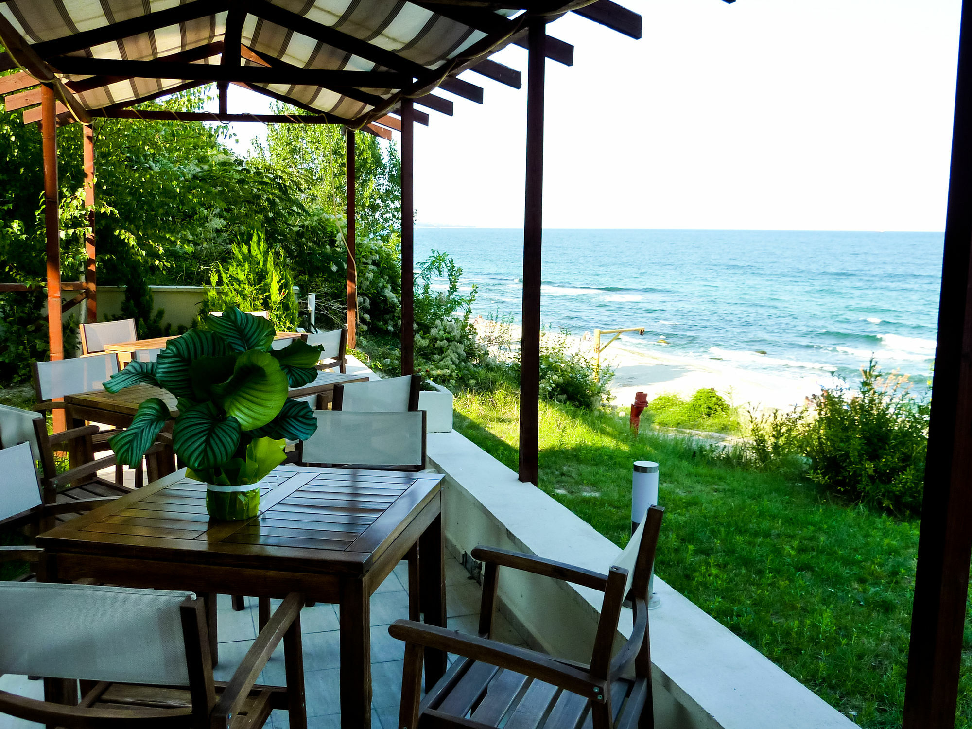 Hotel Albizia